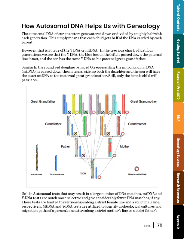 Page explaining Automonal DNA in the DNA section